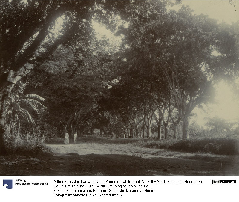 Allée de la Fautaua – Photographie de Arthur Baessler (1896-1898)