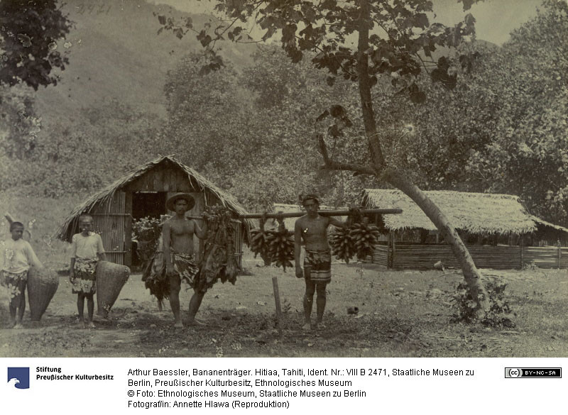 Porteurs de bananes à Tiarei – Arthur Baessler (1896-1898)