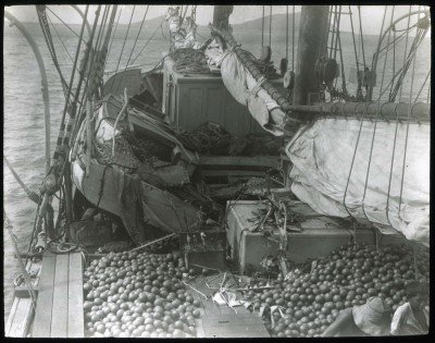 Goélette chargée d’oranges à Mangareva (1921-1923)