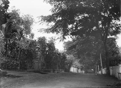 Rue de Papeete en 1907
