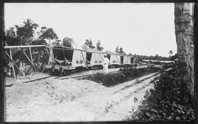 Wagons de chemin de fer chargés de phosphate, Makatea (1926)