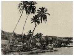 Papeete, bord de mer entre Fare Ute et la boulangerie militaire (1859)
