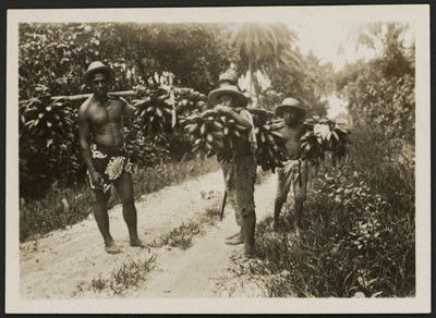 Porteurs de régimes de bananes à Tahiti (1910)