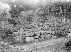 Plateforme en pierre à Taiohae (1884)