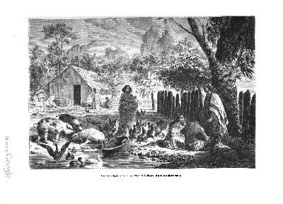 Une case indigène à Tahiti (1876)