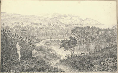 Vue de Papeete depuis la maison de Crook (1822)
