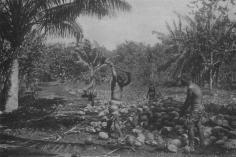Ouverture des noix de coco à la hache (1919)