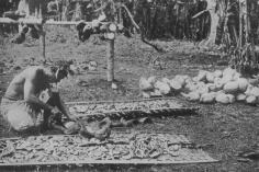 Extraction de l’amande des noix de coco (1919)