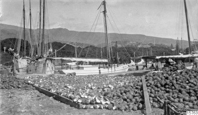 Coprah et noix de coco sur les quais de Papeete (1922)