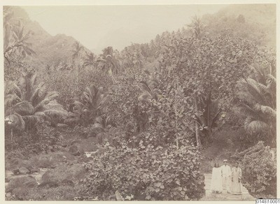 Hiva Oa (1886)