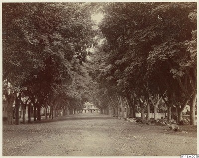 Avenue Bruat à Papeete (1886)