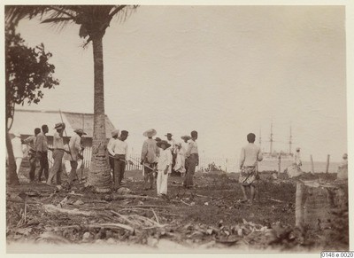 Tahitiens défrichant une terre en bord de mer (1886)