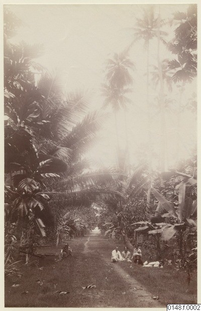 Paysage de Nuku Hiva (1886)