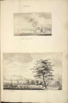Voyages de Cook : l’arbre à pain (1769)