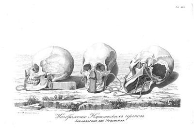 Forme du crâne des habitants de Nuku Hiva (1814)