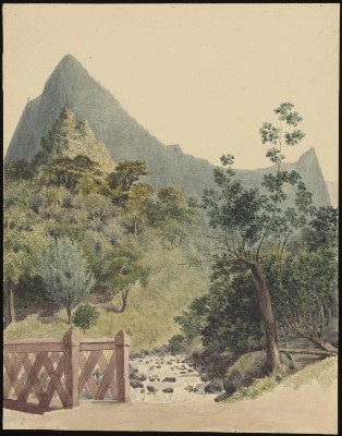 Rivière de la Fautaua (1855)