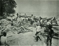 Scène de pêche à Raiatea (1900)