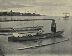 Pirogue chargée de corail blanc (1906)