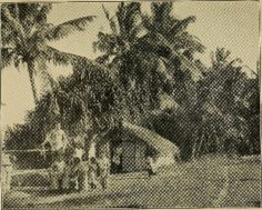 The primitive life of the island (1921)