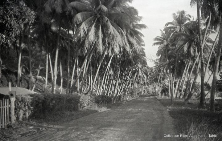 Route sur la côte ouest de Tahiti (1936)