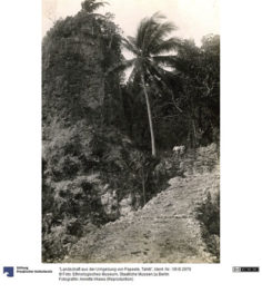 Route de Moumu à Makatea (1910)