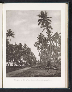 Route du bord de mer à Tahiti (1880)
